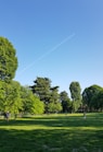 people walking on green grass field near green trees under blue sky during daytime