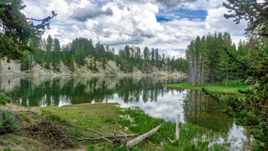 green trees beside lake under white clouds and blue sky during daytime in Yellowstone National Park United States