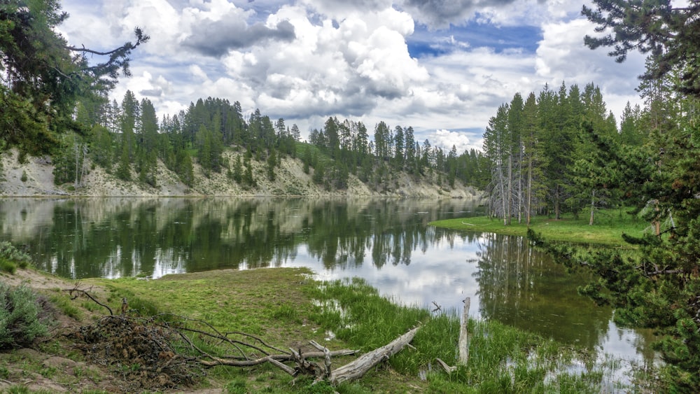 green trees beside lake under white clouds and blue sky during daytime