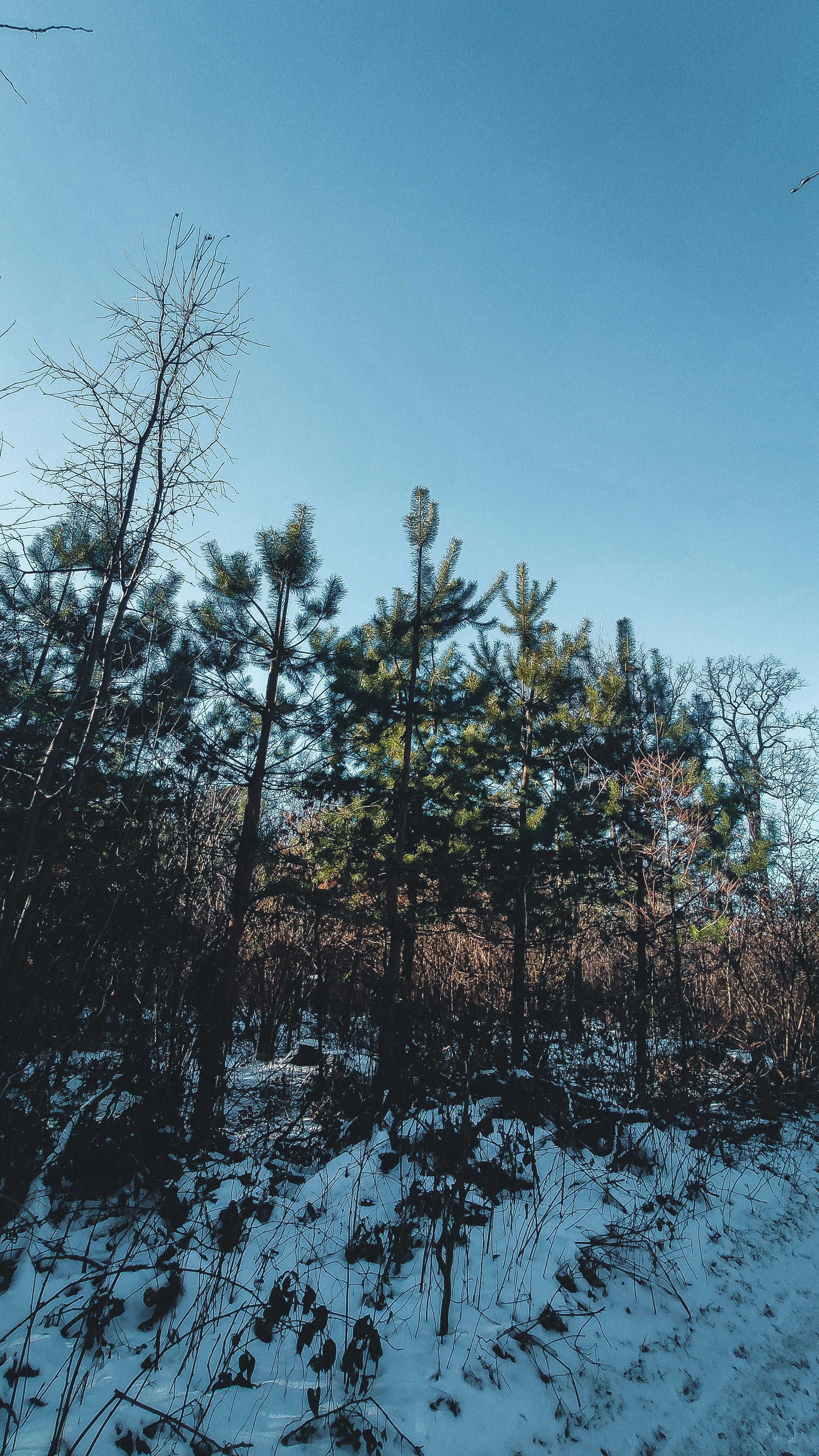 Photo by khrystyna_vatsyk