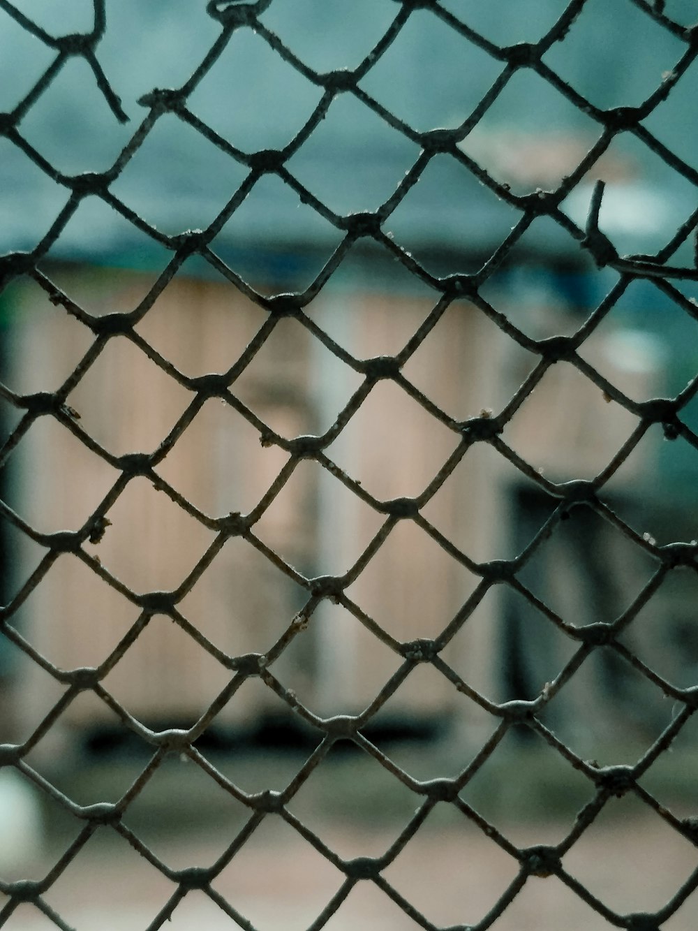 black metal fence with green and brown background