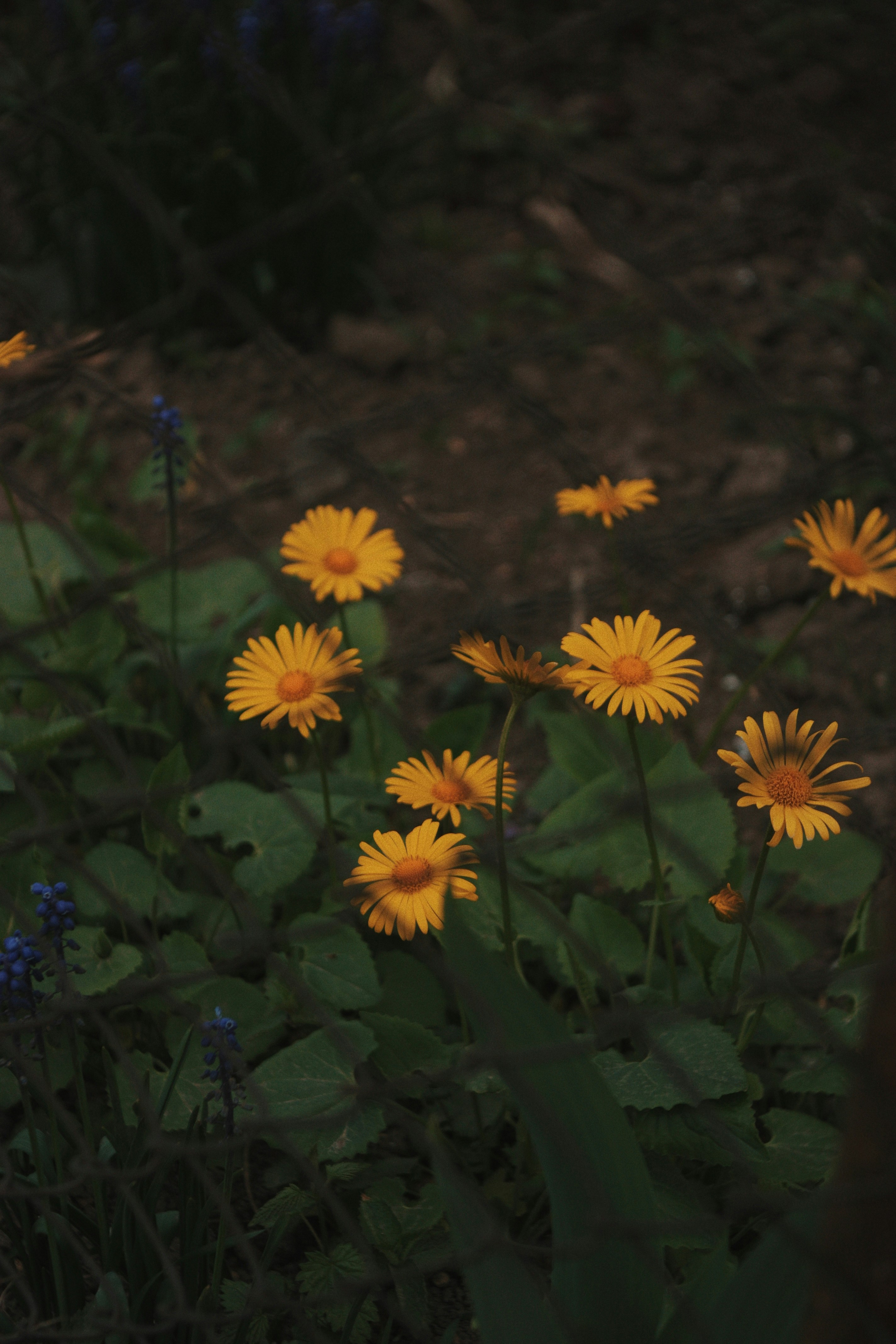 Photo by heroin_cccc