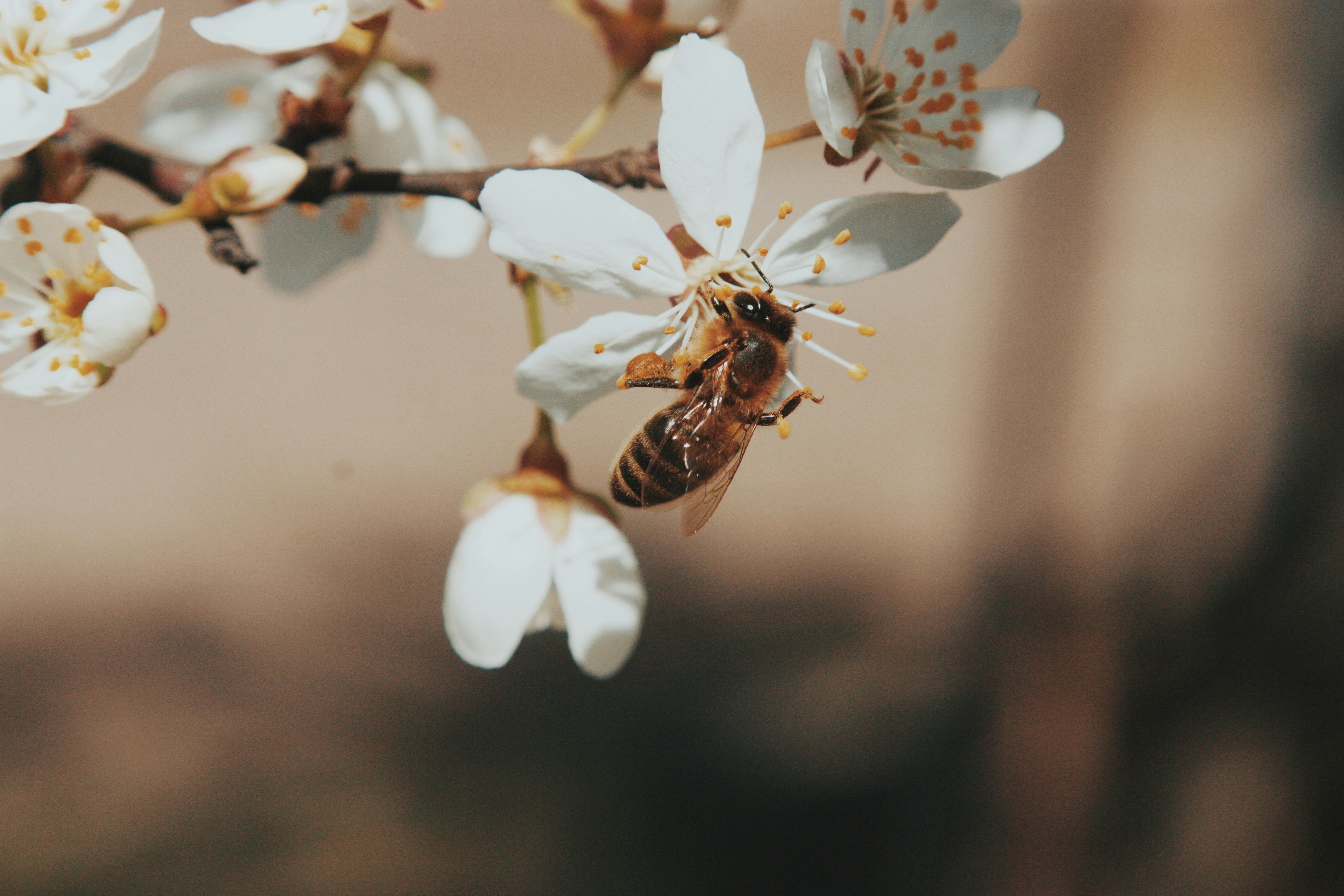 Photo by heroin_cccc