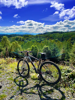 A rugged mountain bike parked on a rocky forest trail.