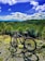 A mountain bike is parked on a rocky trail surrounded by lush green trees. In the background, a vast expanse of forest stretches out under a bright blue sky dotted with fluffy white clouds. The scene suggests a peaceful and adventurous outdoor setting.