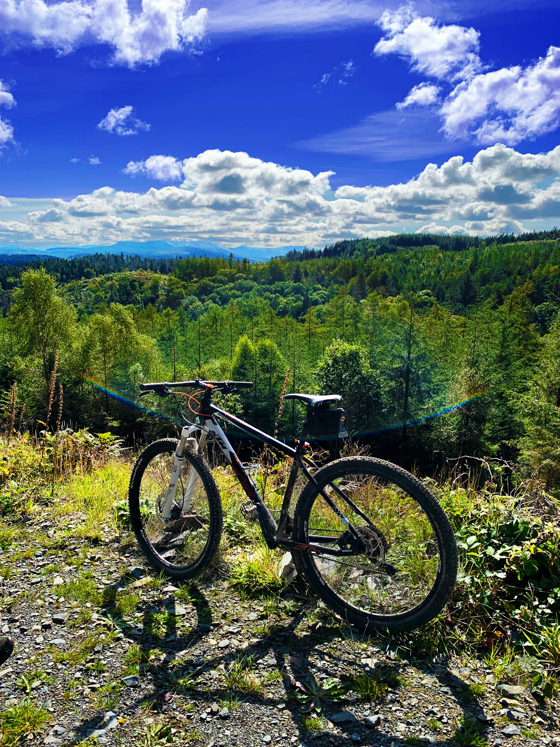 black and white bed linen