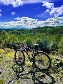 A mountain bike is parked on a rocky trail surrounded by lush green trees. In the background, a vast expanse of forest stretches out under a bright blue sky dotted with fluffy white clouds. The scene suggests a peaceful and adventurous outdoor setting.