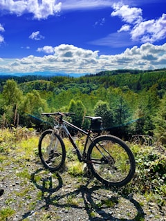 A mountain bike is parked on a rocky trail surrounded by lush green trees. In the background, a vast expanse of forest stretches out under a bright blue sky dotted with fluffy white clouds. The scene suggests a peaceful and adventurous outdoor setting.