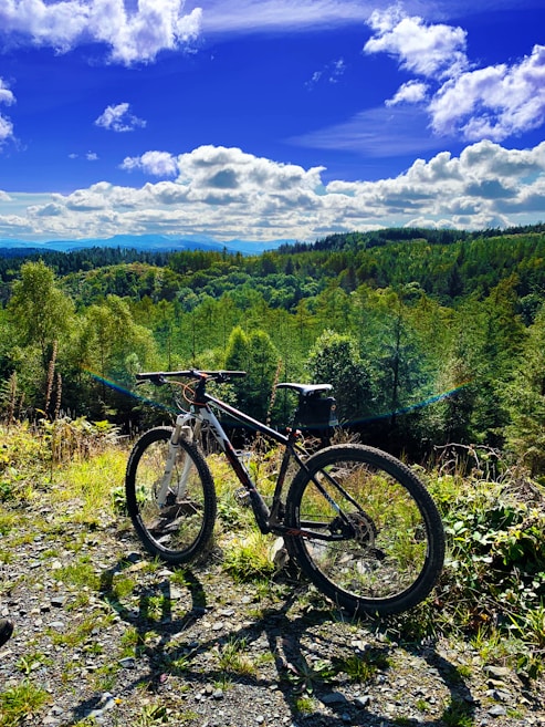 A mountain bike is parked on a rocky trail surrounded by lush green trees. In the background, a vast expanse of forest stretches out under a bright blue sky dotted with fluffy white clouds. The scene suggests a peaceful and adventurous outdoor setting.