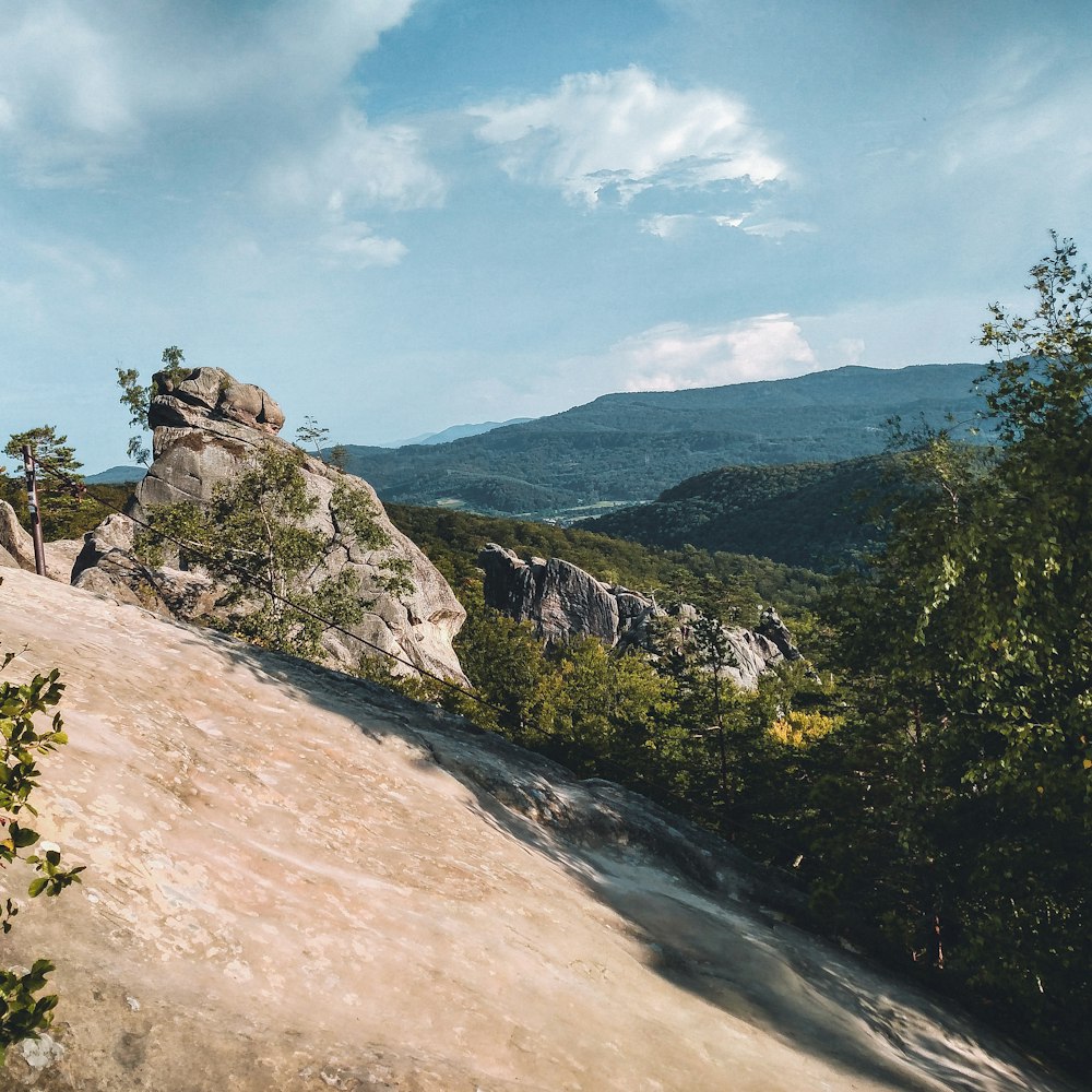 green trees on brown rocky mountain under blue sky during daytime