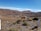 A serene landscape with two vicuñas standing on a rocky terrain surrounded by sparse vegetation. The background features a vast, open desert landscape with undulating hills and a clear blue sky. Winding roads are visible in the distance, disappearing into the rolling hills.