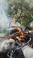A cozy scene of a campfire with a kettle steaming, surrounded by forest shadows.
