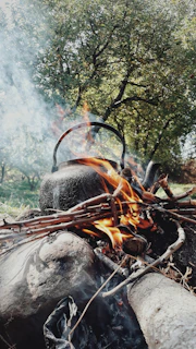 A cozy scene of a campfire with a kettle steaming, surrounded by forest shadows.