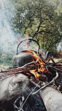 Modern eco-friendly charcoal kiln operating in a lush green forest setting.