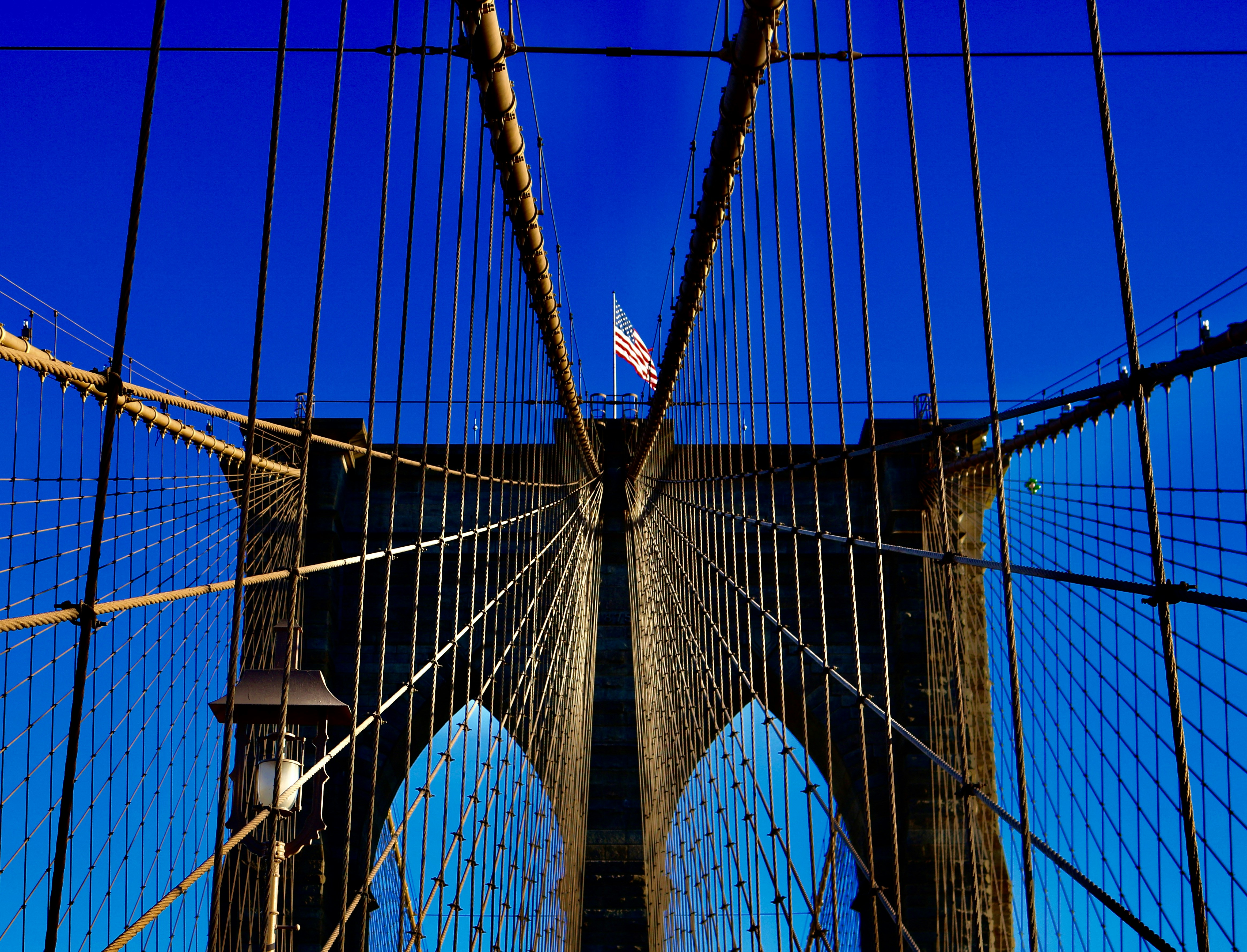 Photo by mohamedosama