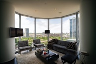 Elegant living room showcasing a plush carpet paired with sleek modern furniture.