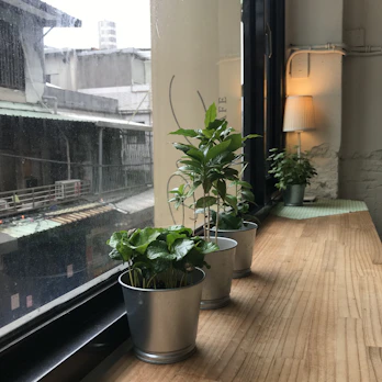 Elegant wooden planters with small green plants, placed by a sunlit window.