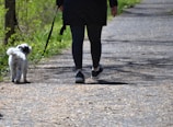 person in red jacket and black pants holding black dog leash