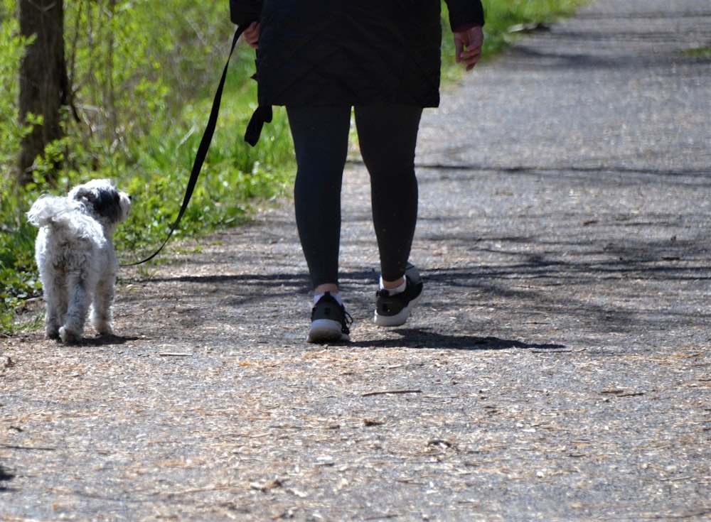 person in red jacket and black pants holding black dog leash