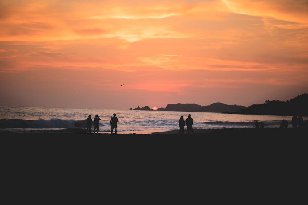 silhouette of people on beach during sunset