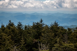 Smoky Mountains, N. Carolina - climb 1/2 mile up a steep path to Kuwohi, highest point at 6643 feet