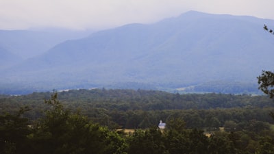 green trees on mountain during daytime tennessee google meet background