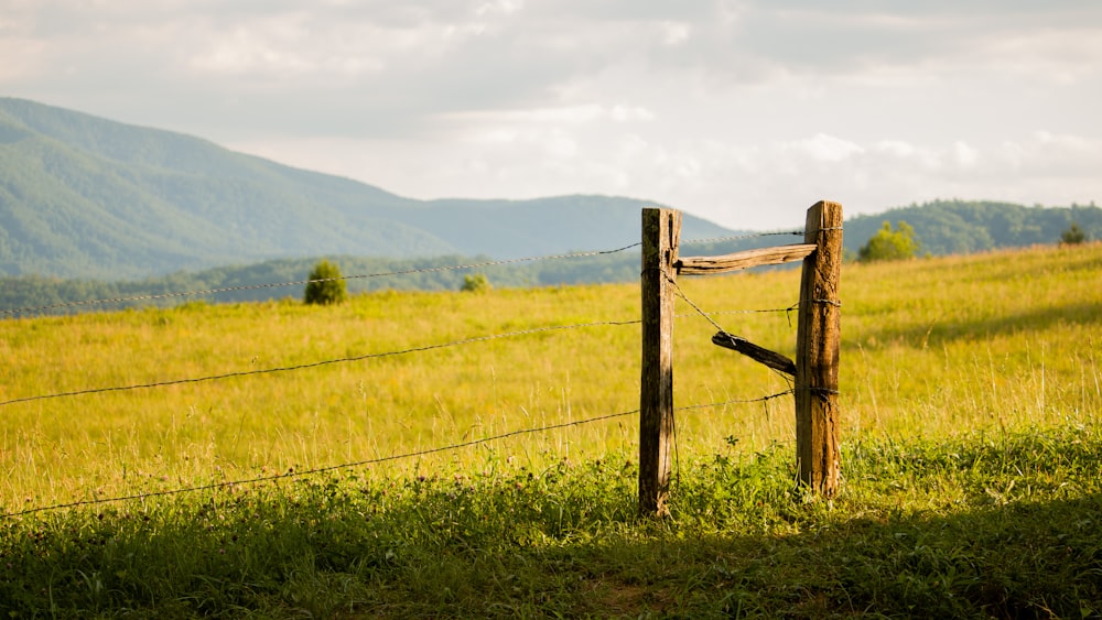 a fence in a grassy field with mountains in the background