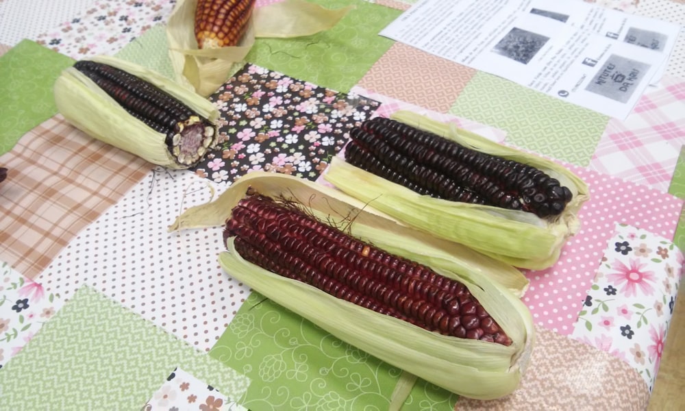 corn on green and white textile