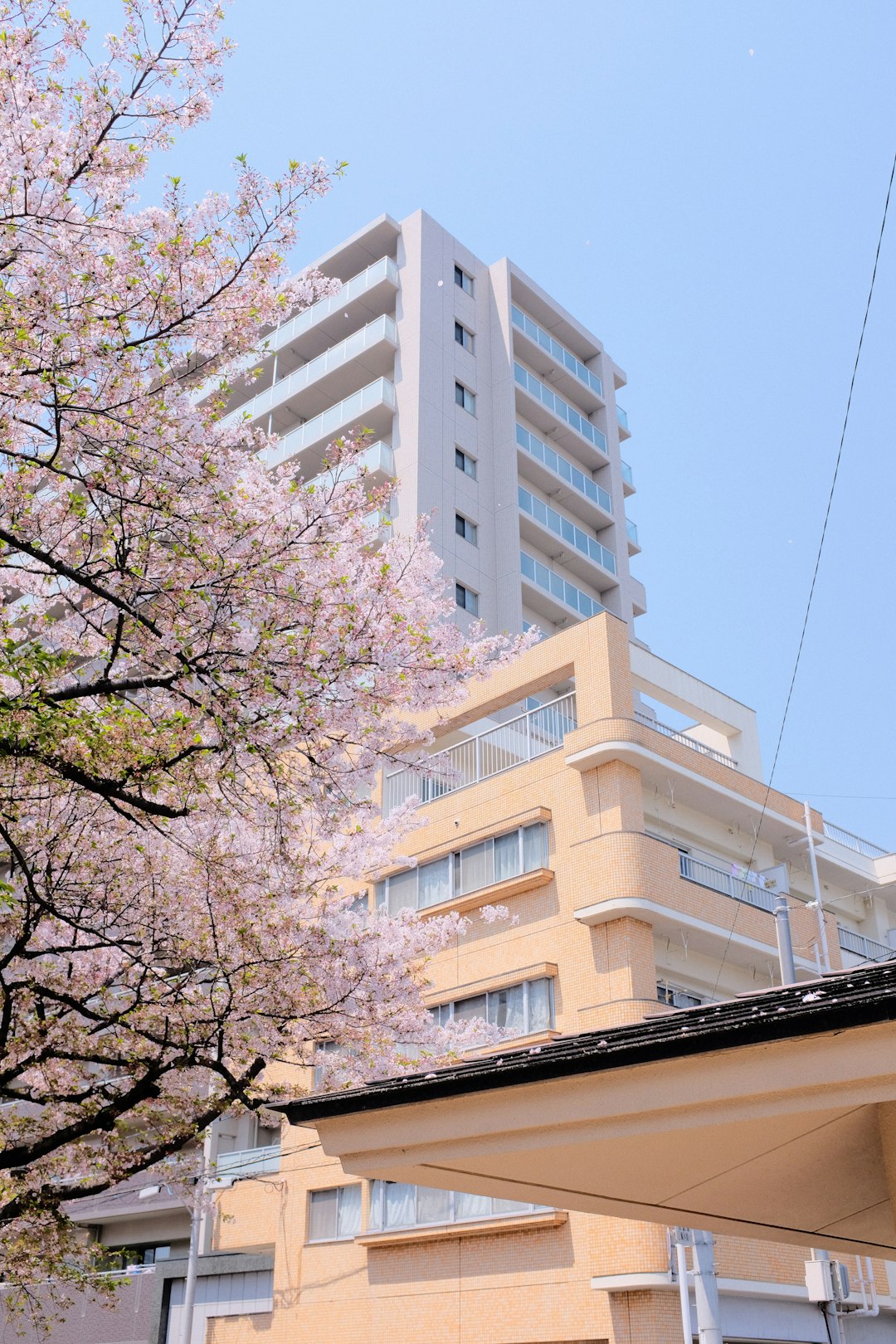 white concrete building near green trees during daytime