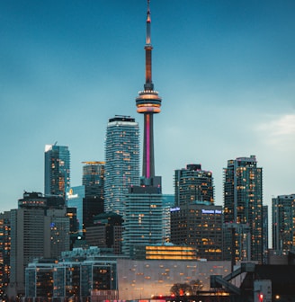 high rise buildings during night time