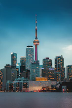high rise buildings during night time