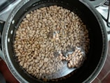 Automatic nut and seed soaking machine in action on a kitchen counter.