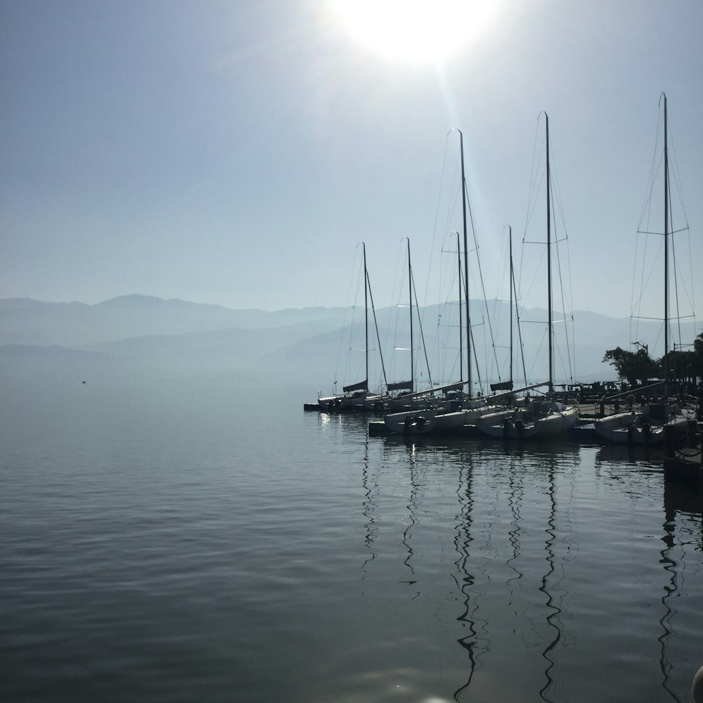 white and black boat on sea during daytime