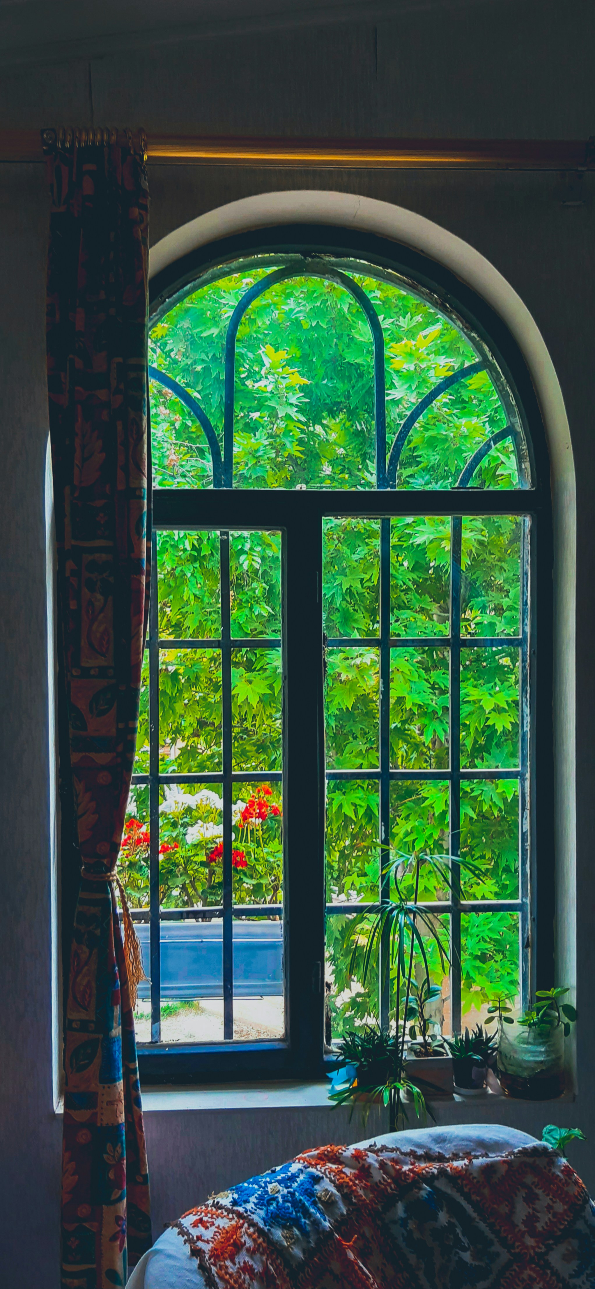 Photo by nasimkeshmiri