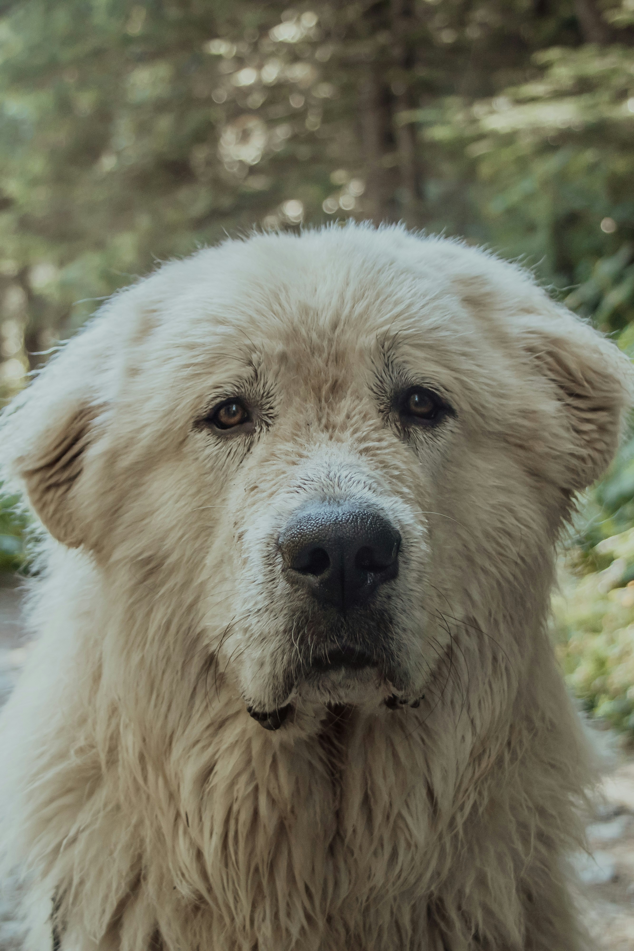 Photo by danika_anya