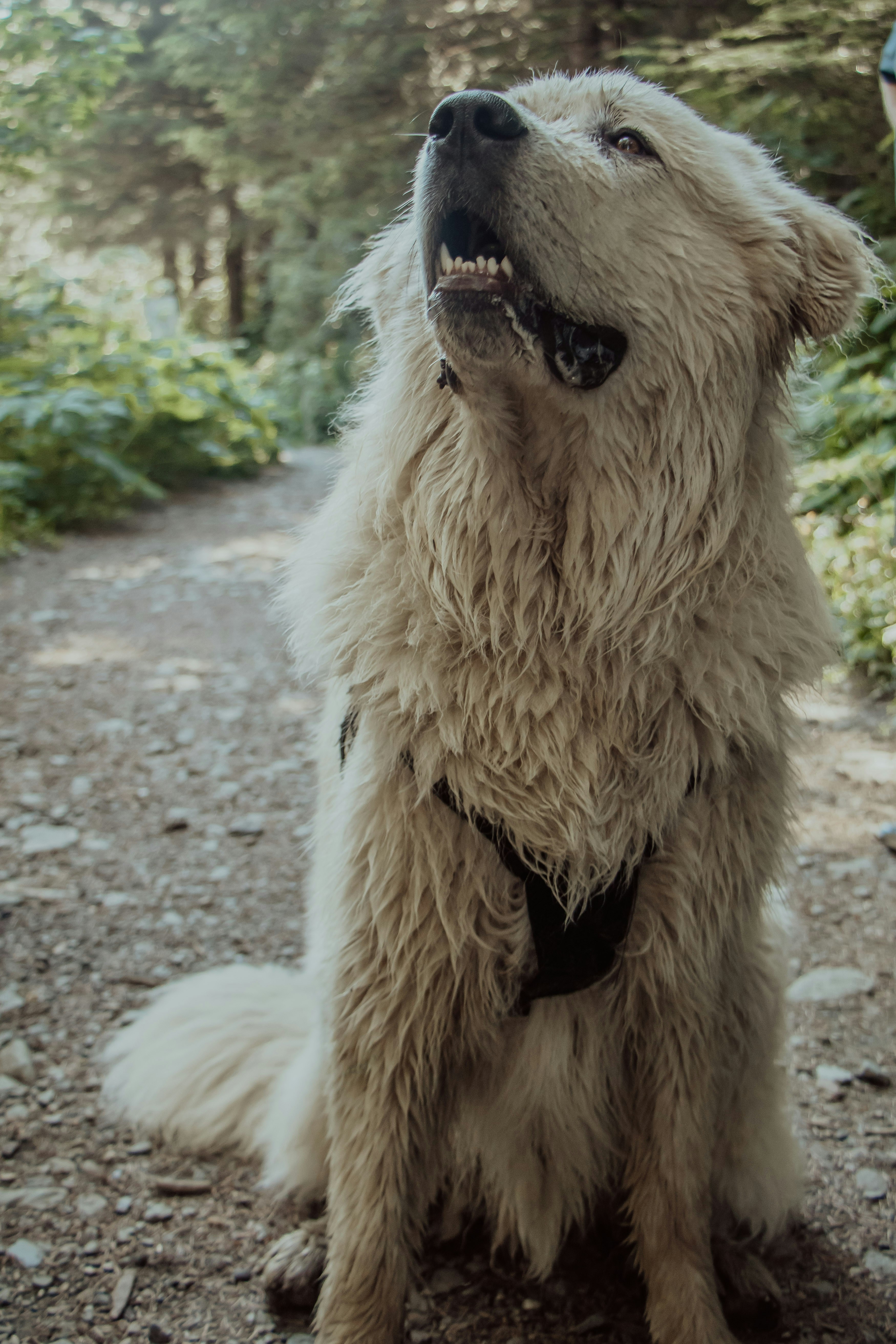 Photo by danika_anya