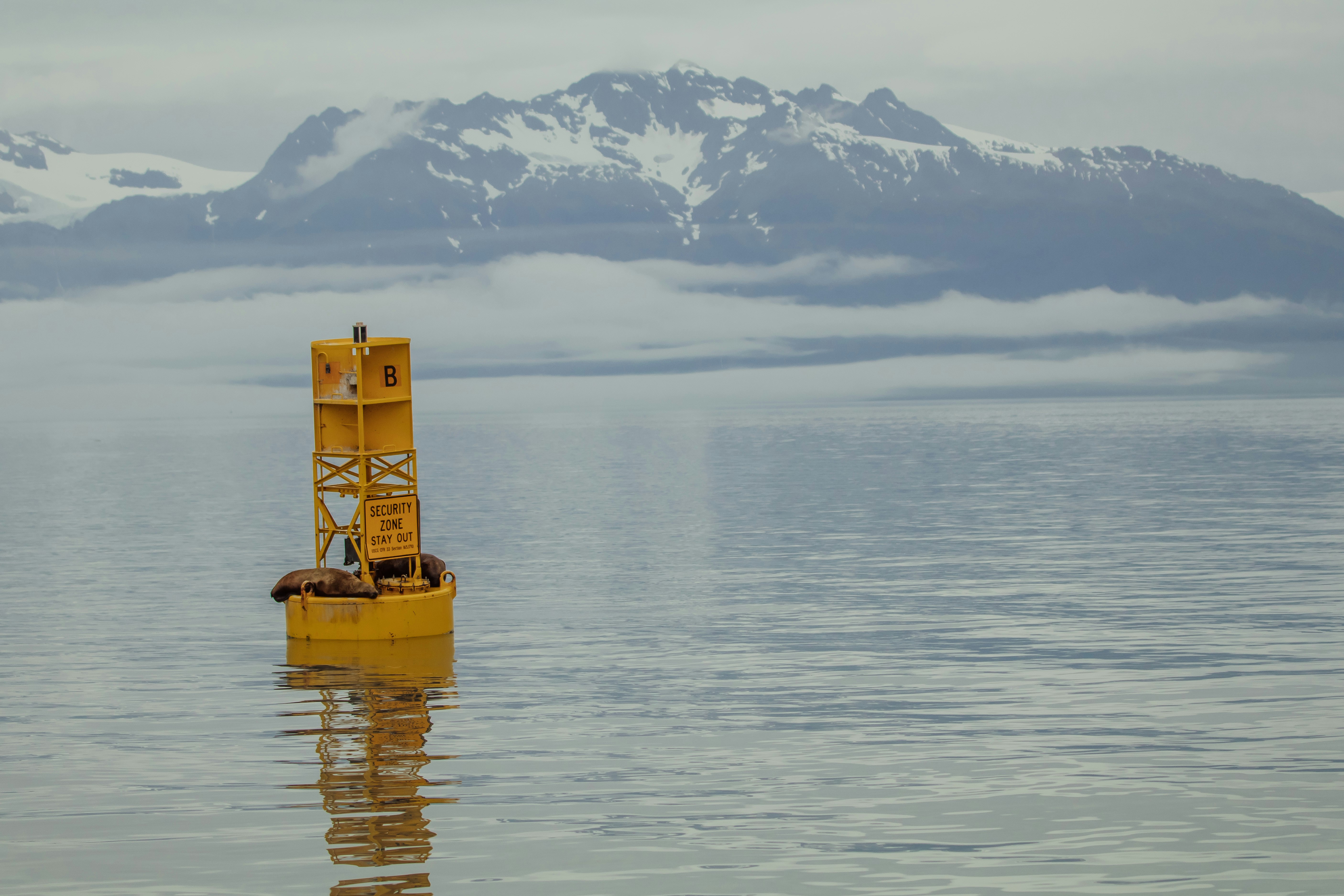 yellow and brown wooden boat on body of water during daytime