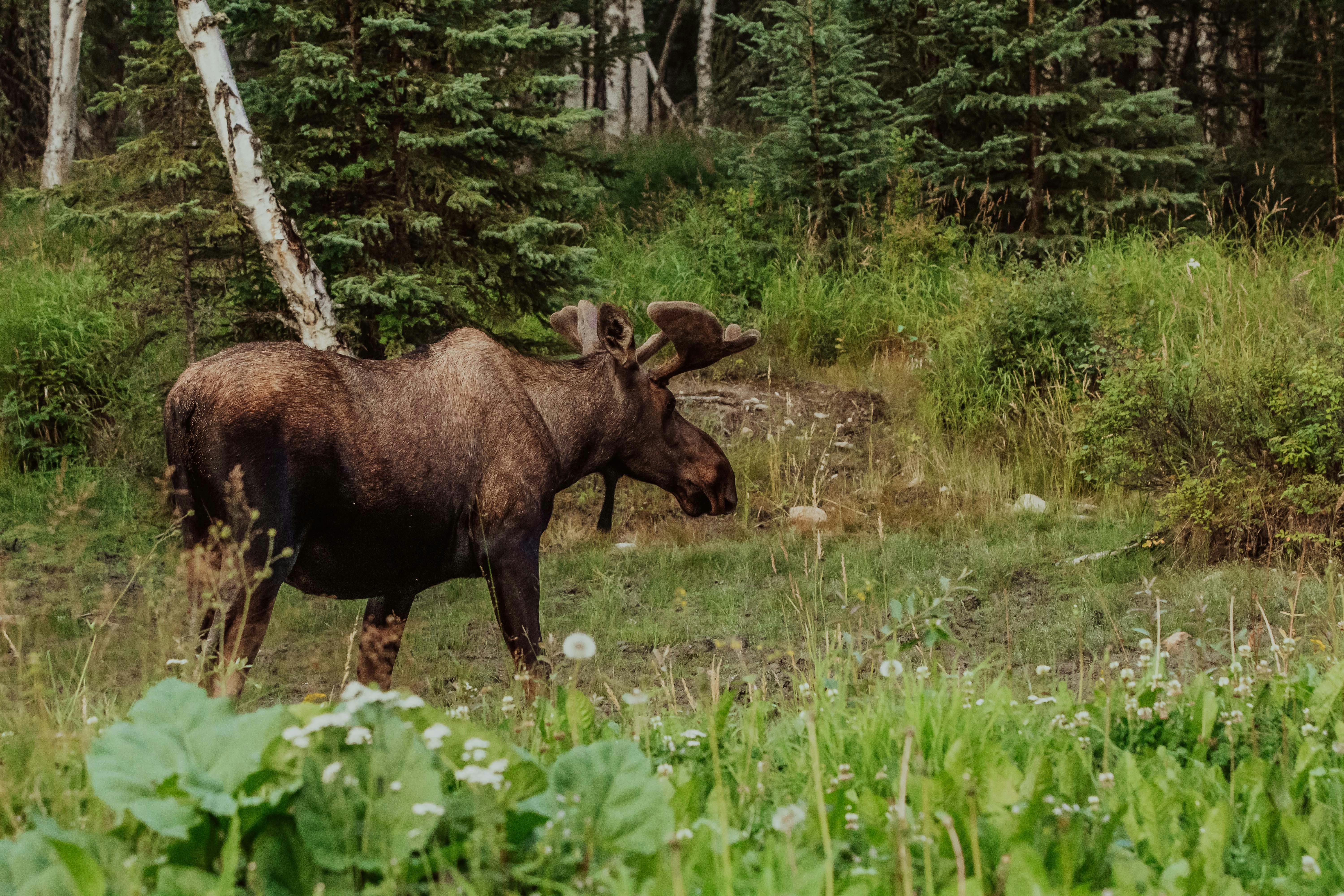 Photo by danika_anya