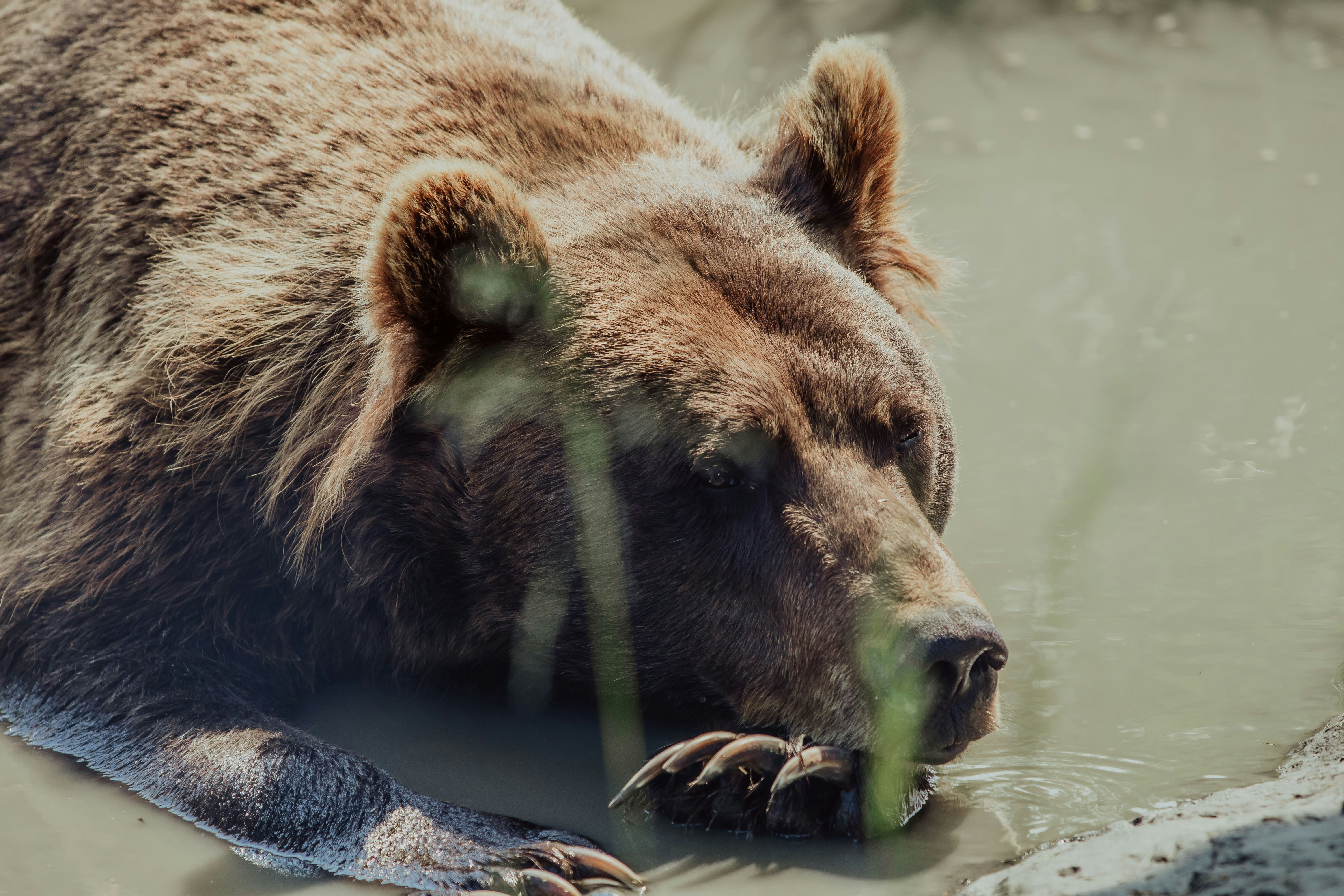 Photo by danika_anya