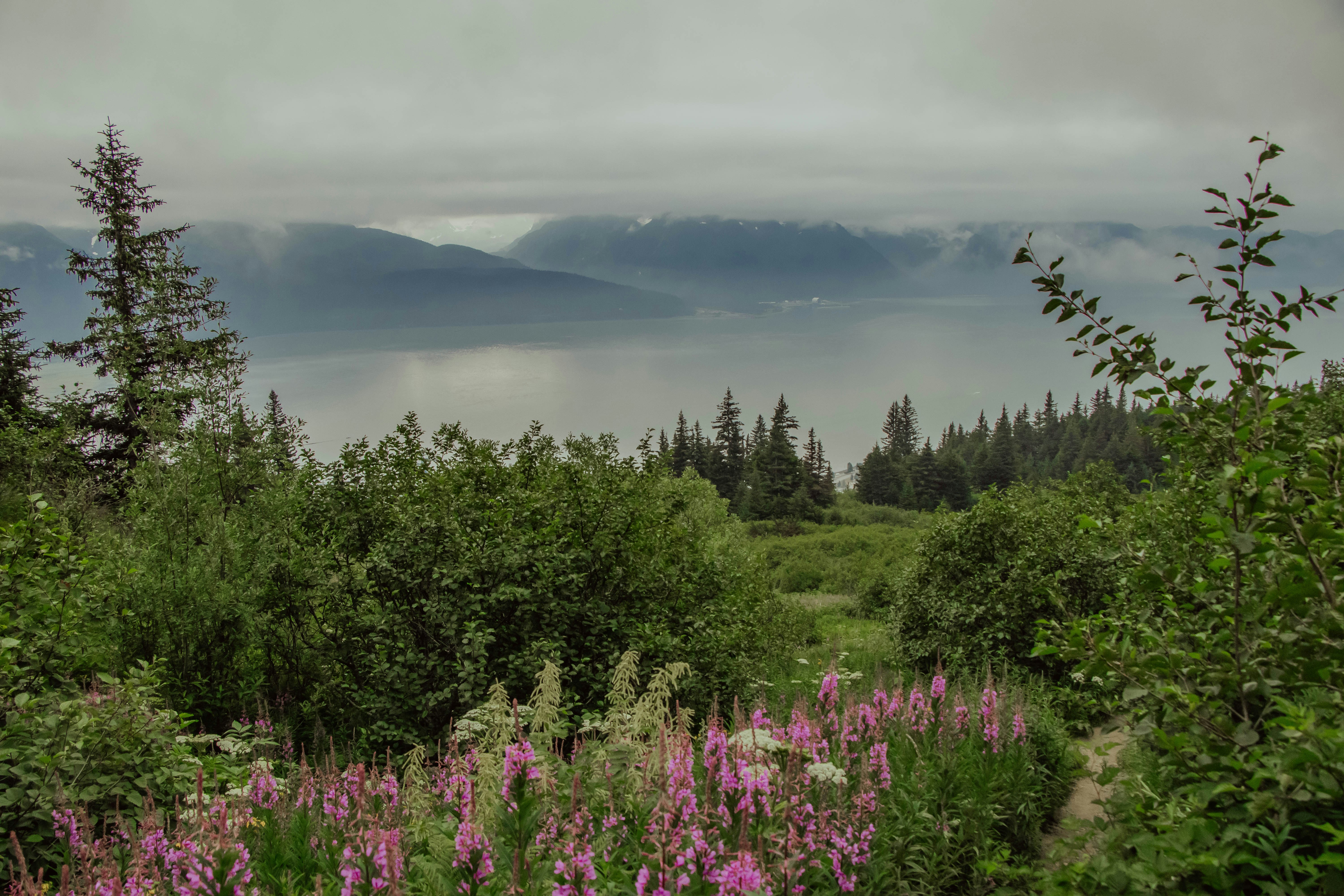 Photo by danika_anya