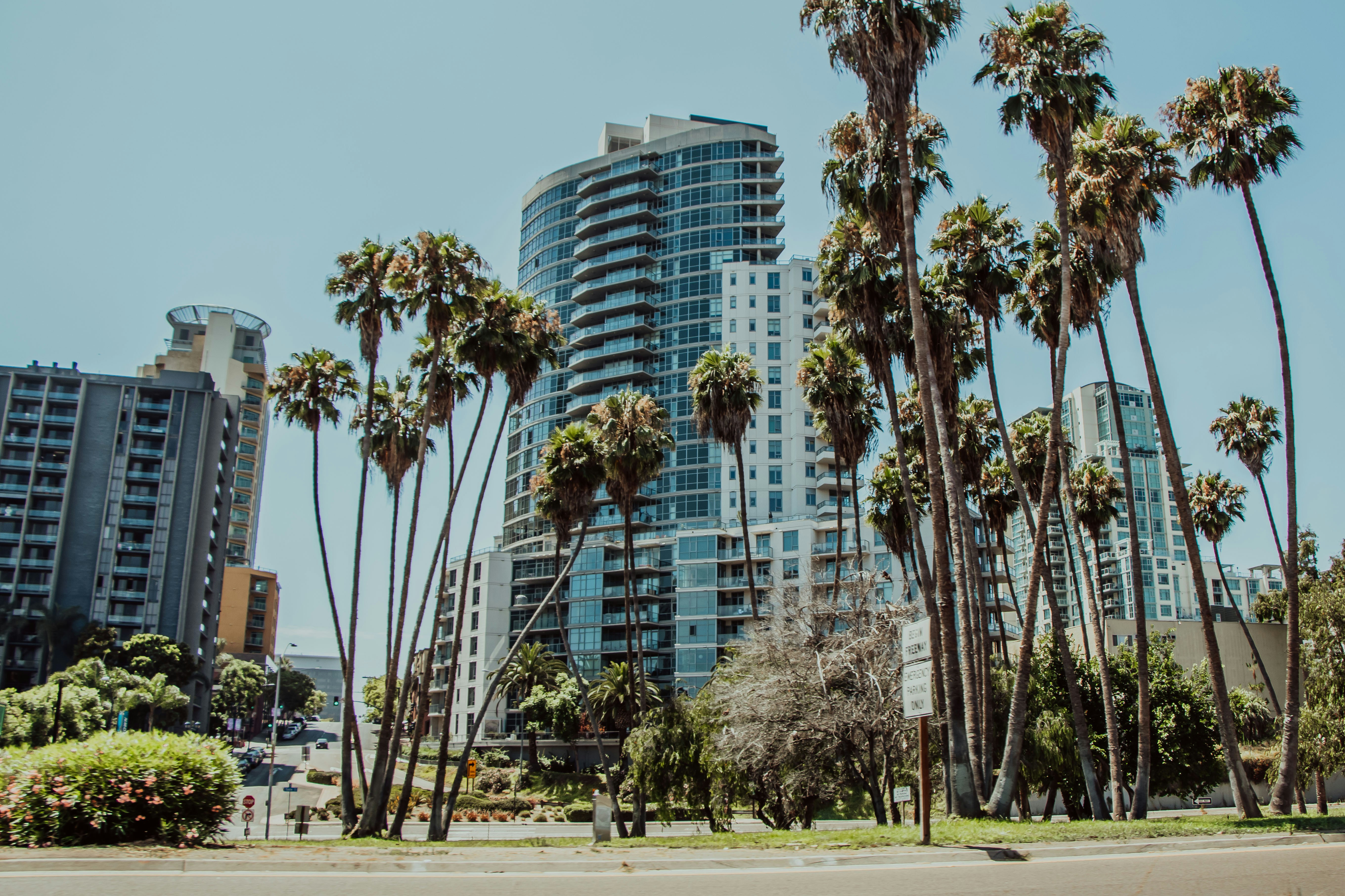 Photo by danika_anya