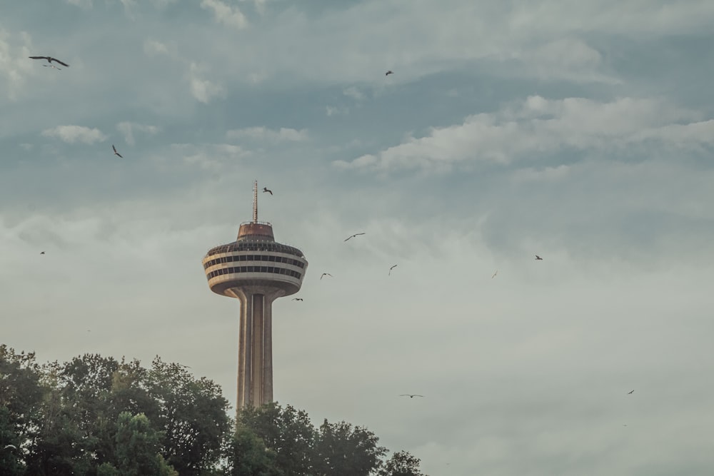 birds flying over the city during daytime