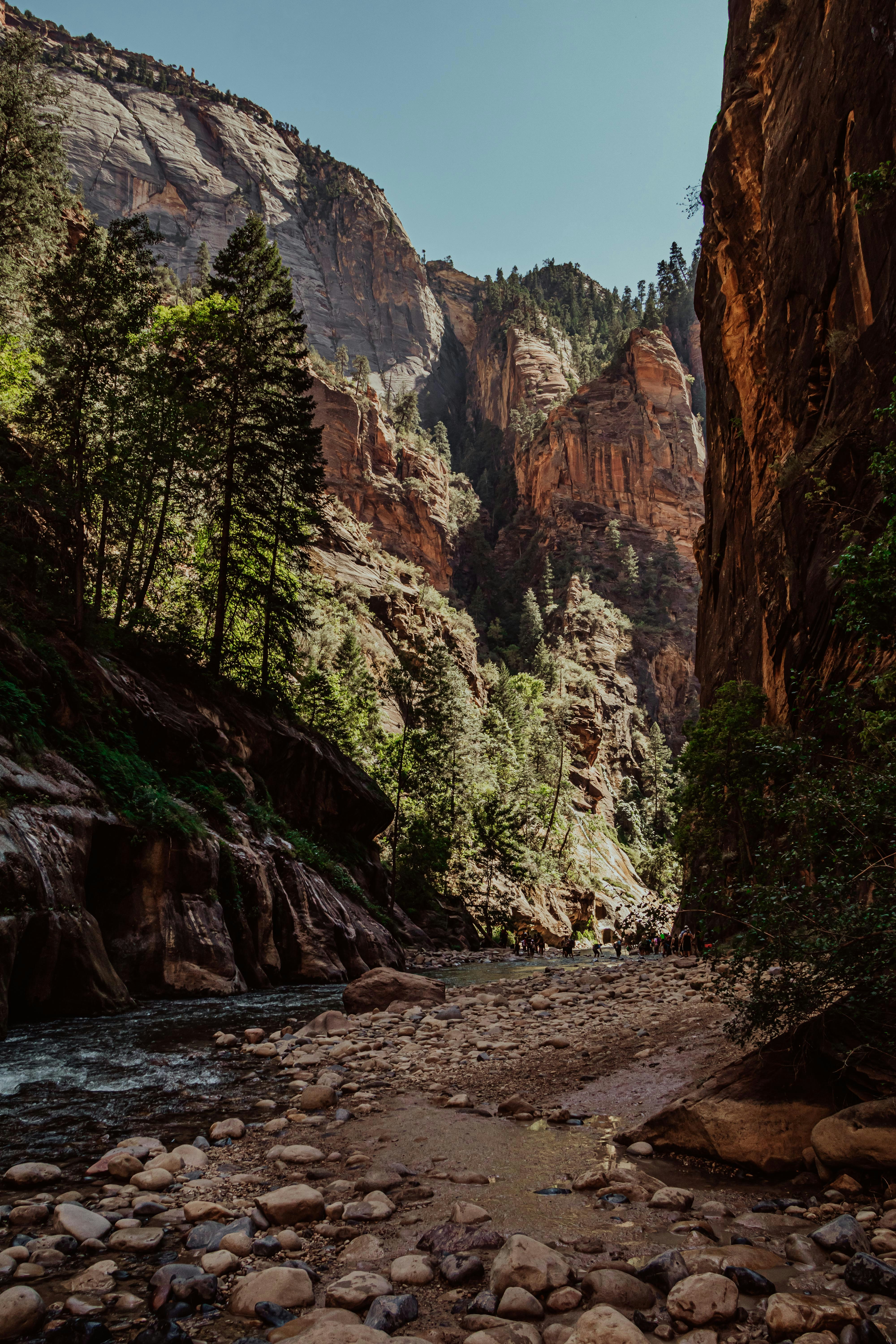green trees near brown rocky mountain during daytime