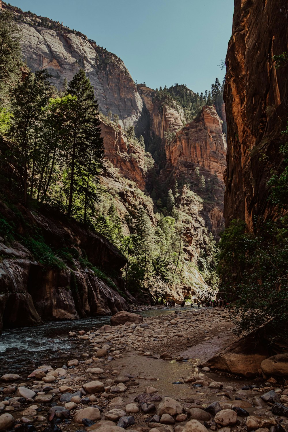 green trees near brown rocky mountain during daytime