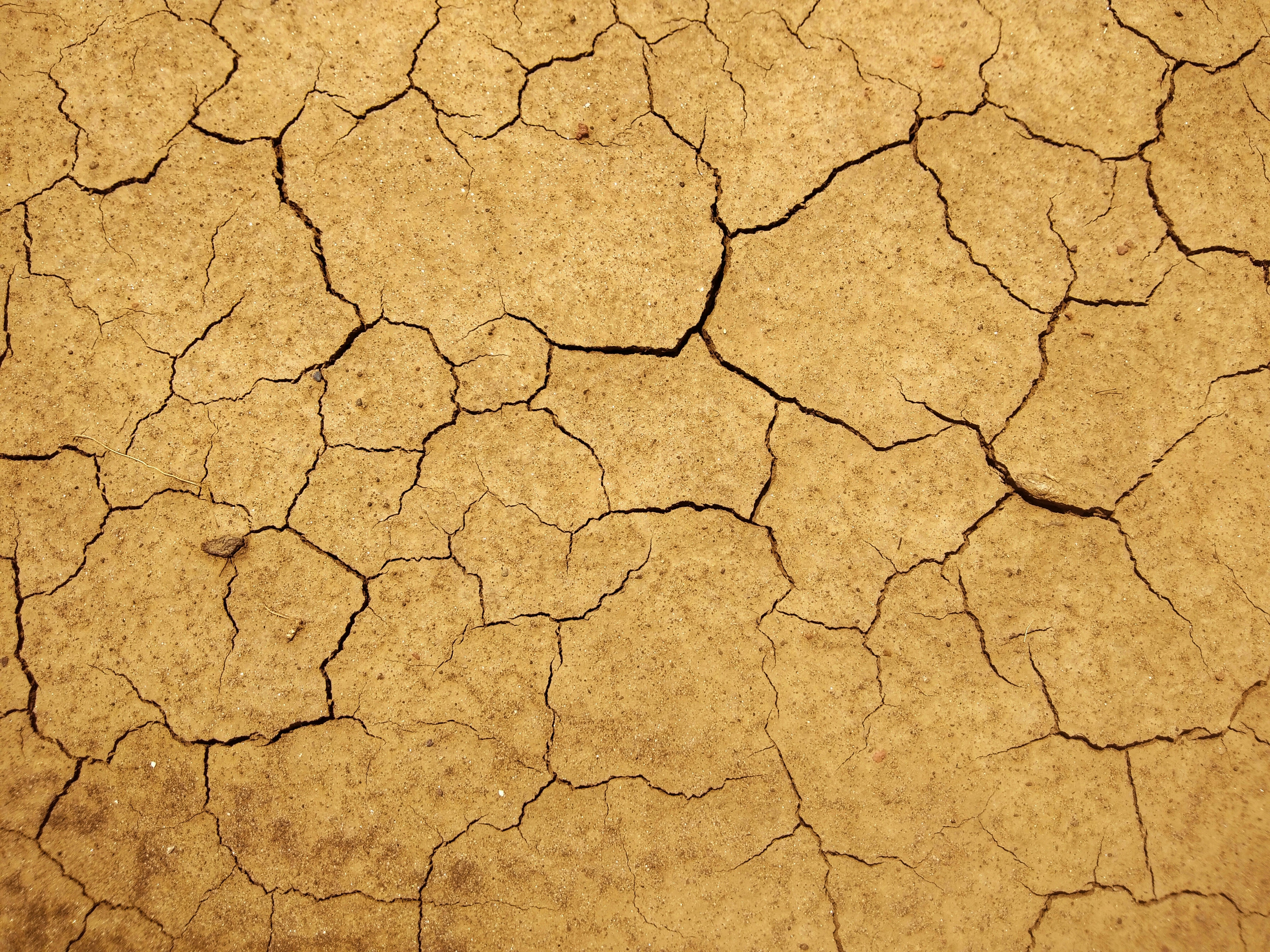 Dry land 