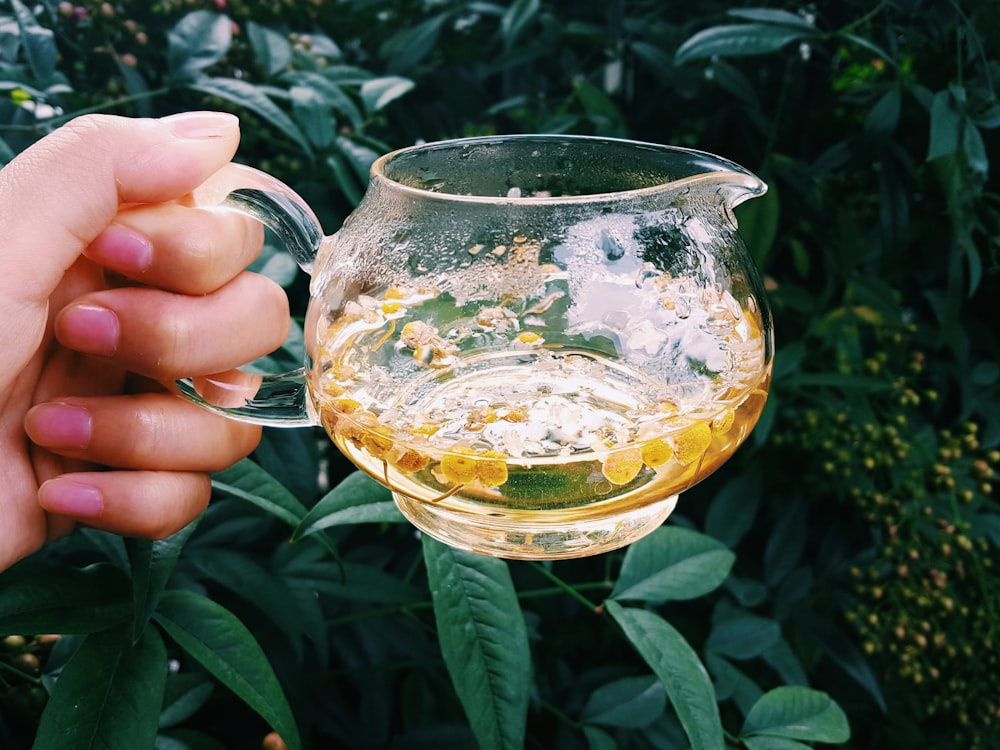 person holding clear glass mug with yellow liquid