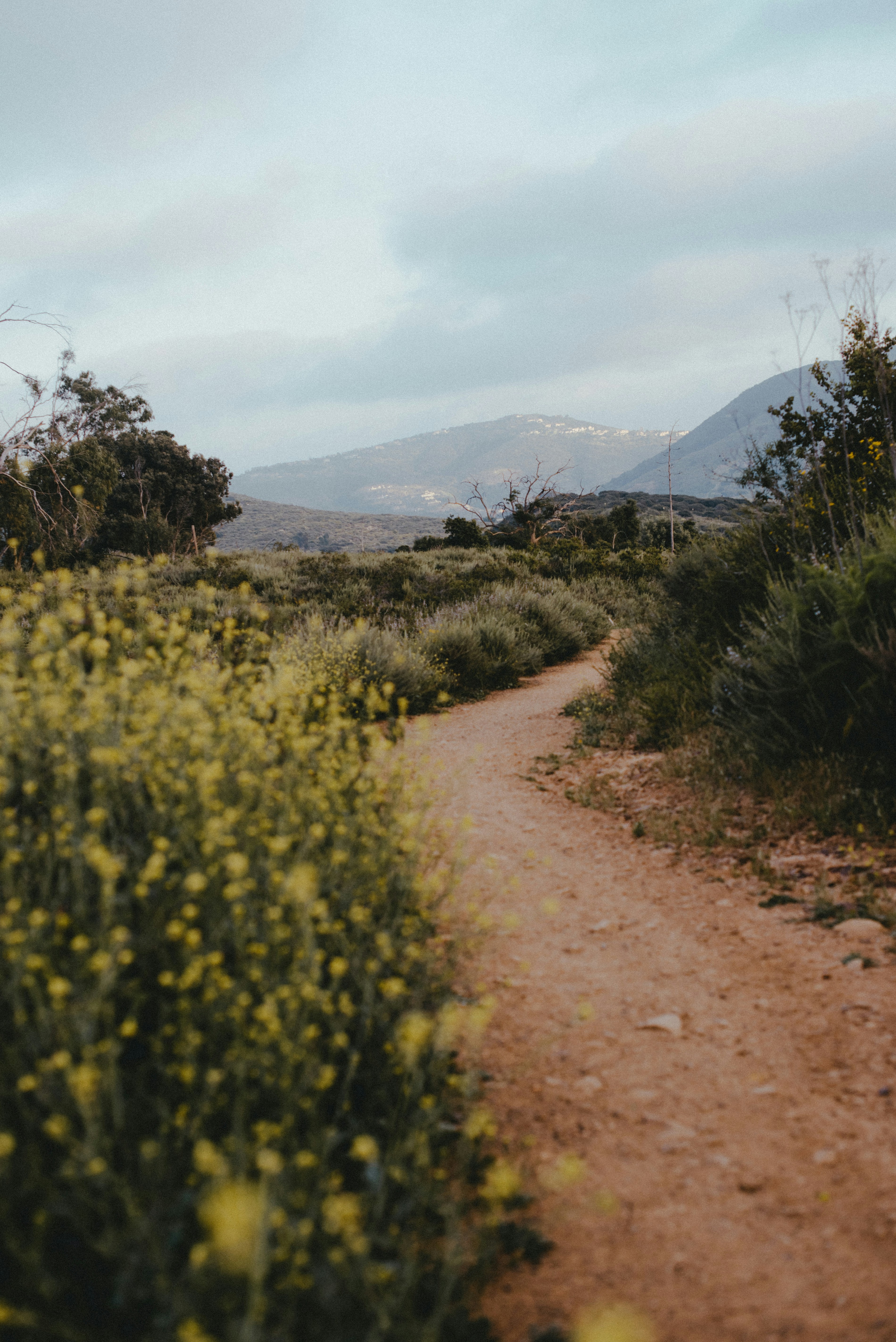 Photo by octoberroses