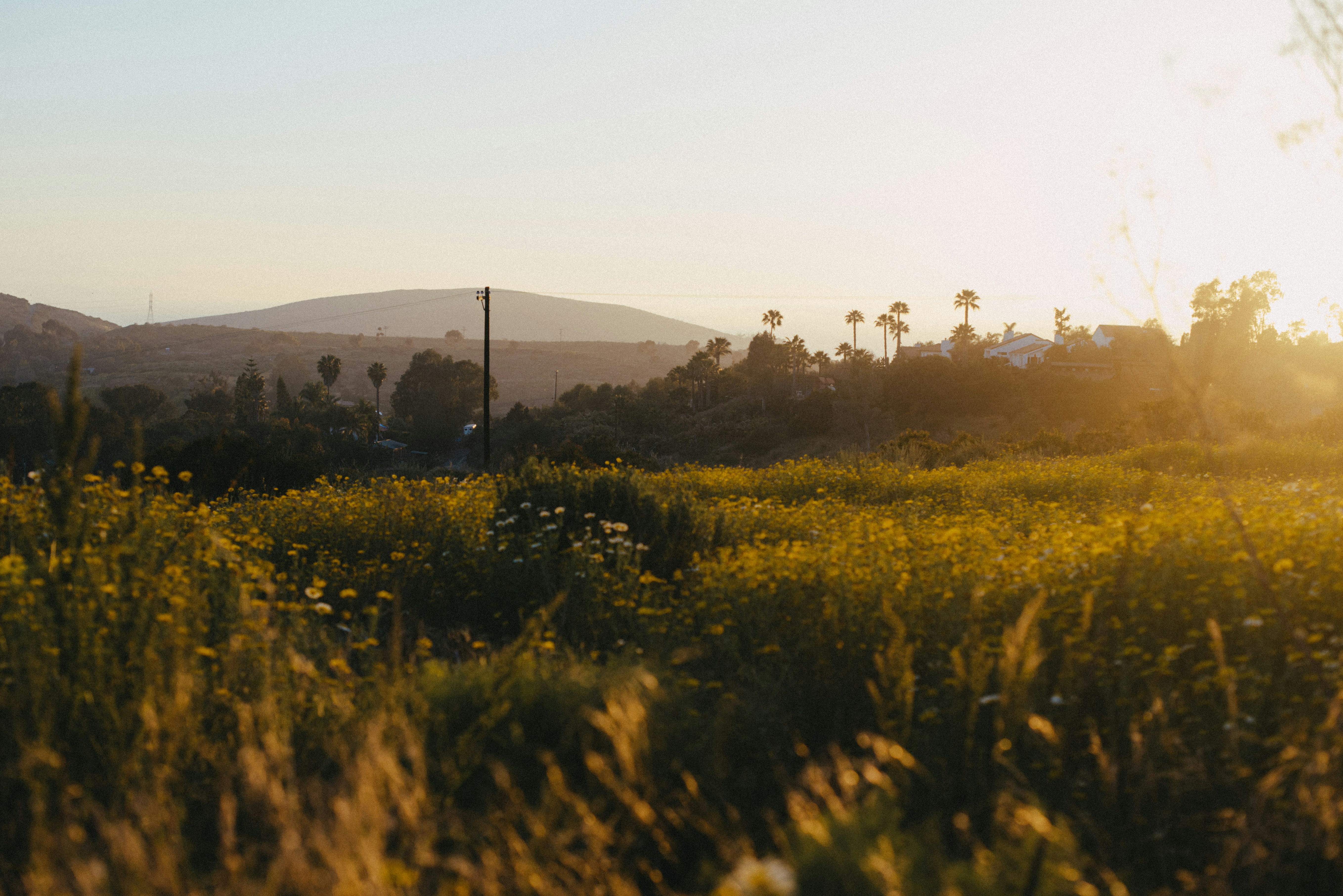 Photo by octoberroses