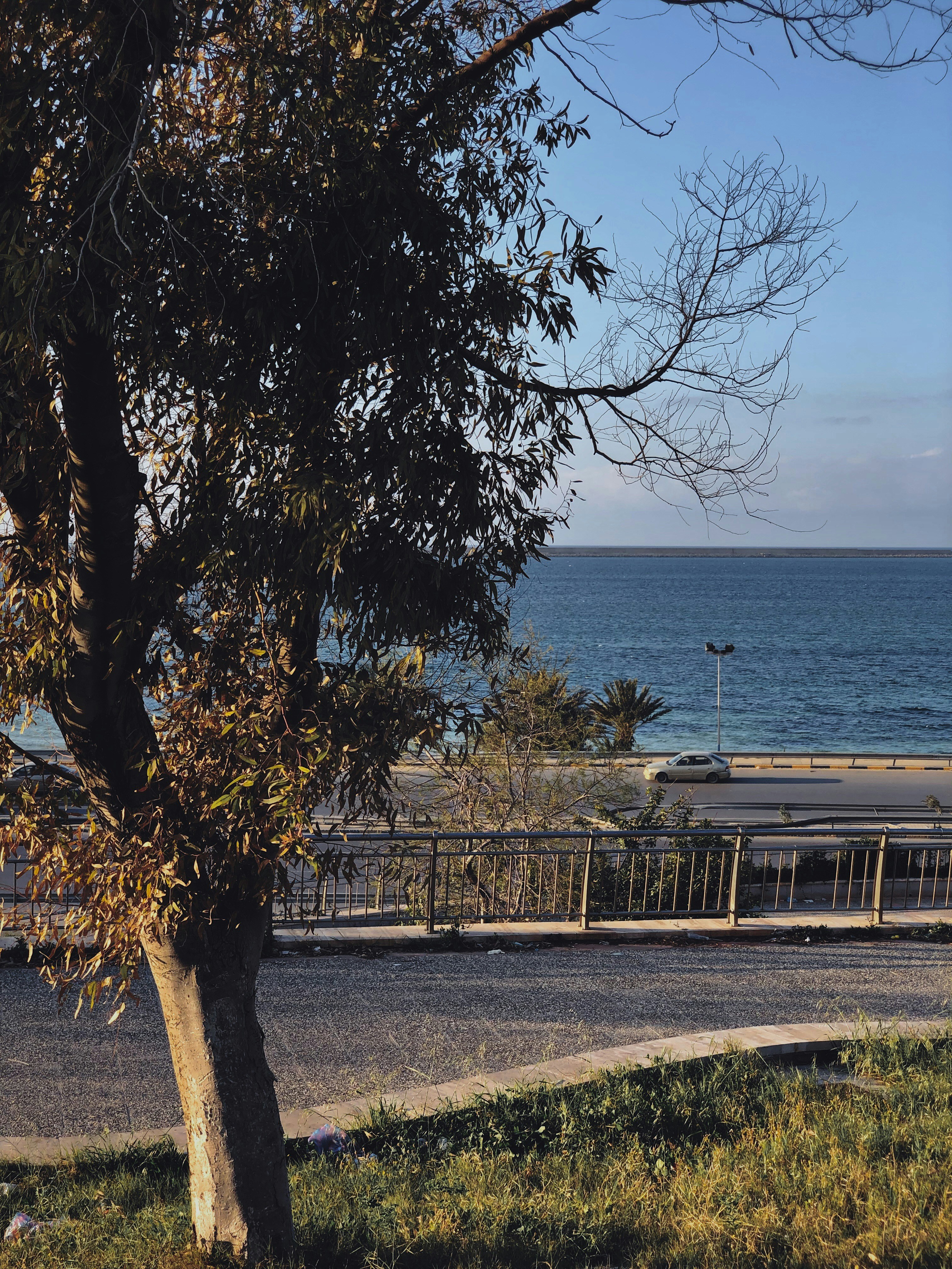 Photo by ibrahim_alzw