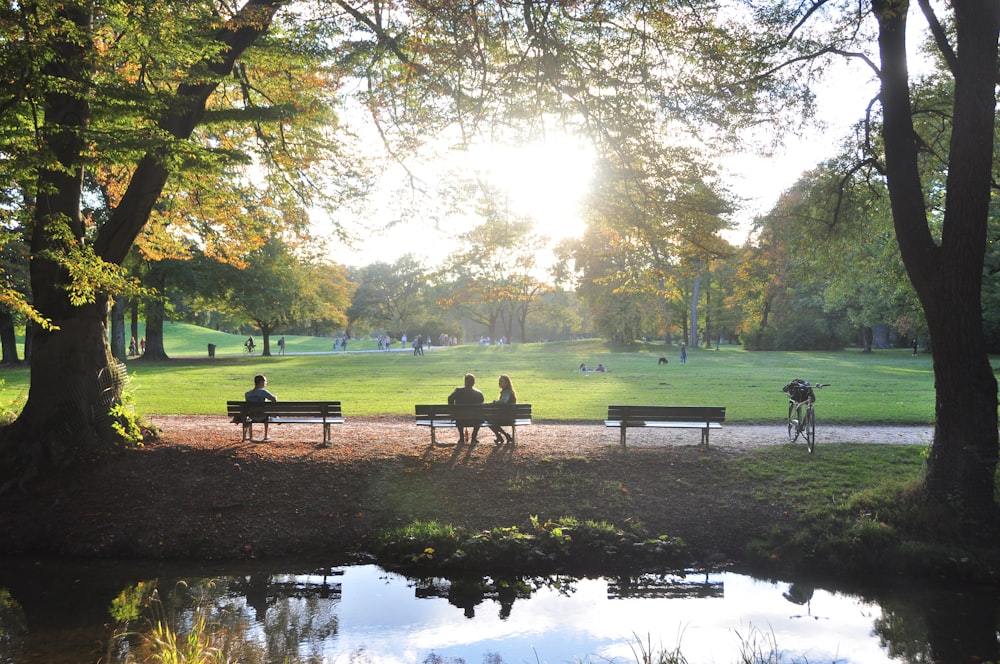 people sitting on bench near lake during daytime